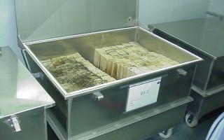 Laboratoire -  bac élevage termites