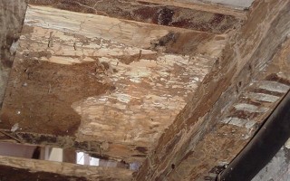 dégât termites sur sol entre cave et rdc