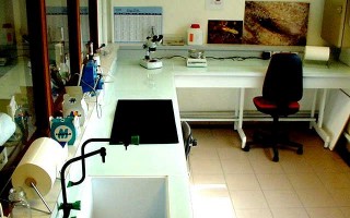 Laboratoire Termites FCBA